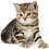 Catfriend1